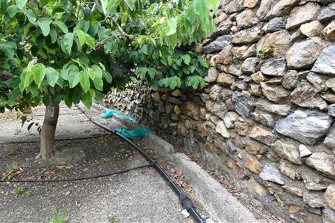 Finca i Motril, Granada, Motril - € 268.000 | Ref: 246 - foto 3